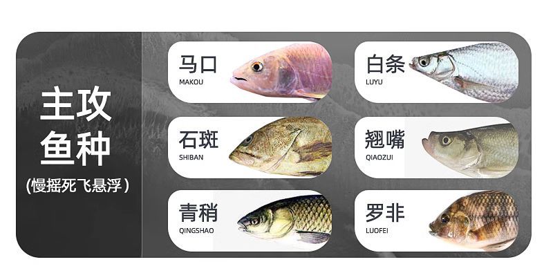 路亚七星苍蝇白条串钩钓组防缠绕苍蝇饵线组假饵飞蝇钩马口溪哥翘详情9