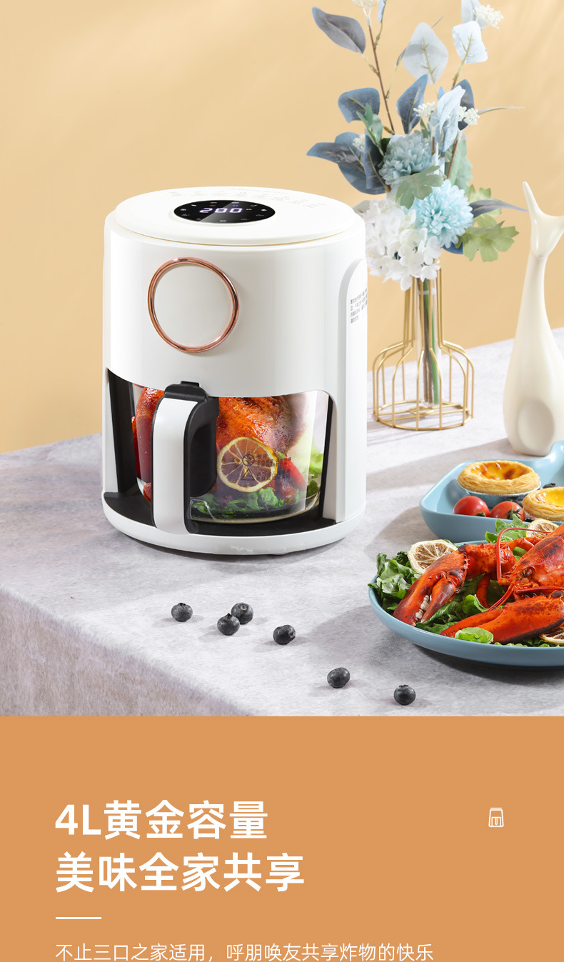 Cross-border AirFryer household air fryer, large-capacity visible electric fryer, Amazon 110V, US and European standard 220V pic 12