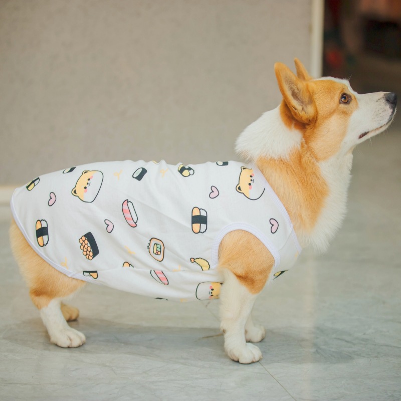 狗狗背心四季款宠物T恤可爱卡通狗狗服装印花中型犬幼犬现货批发详情17