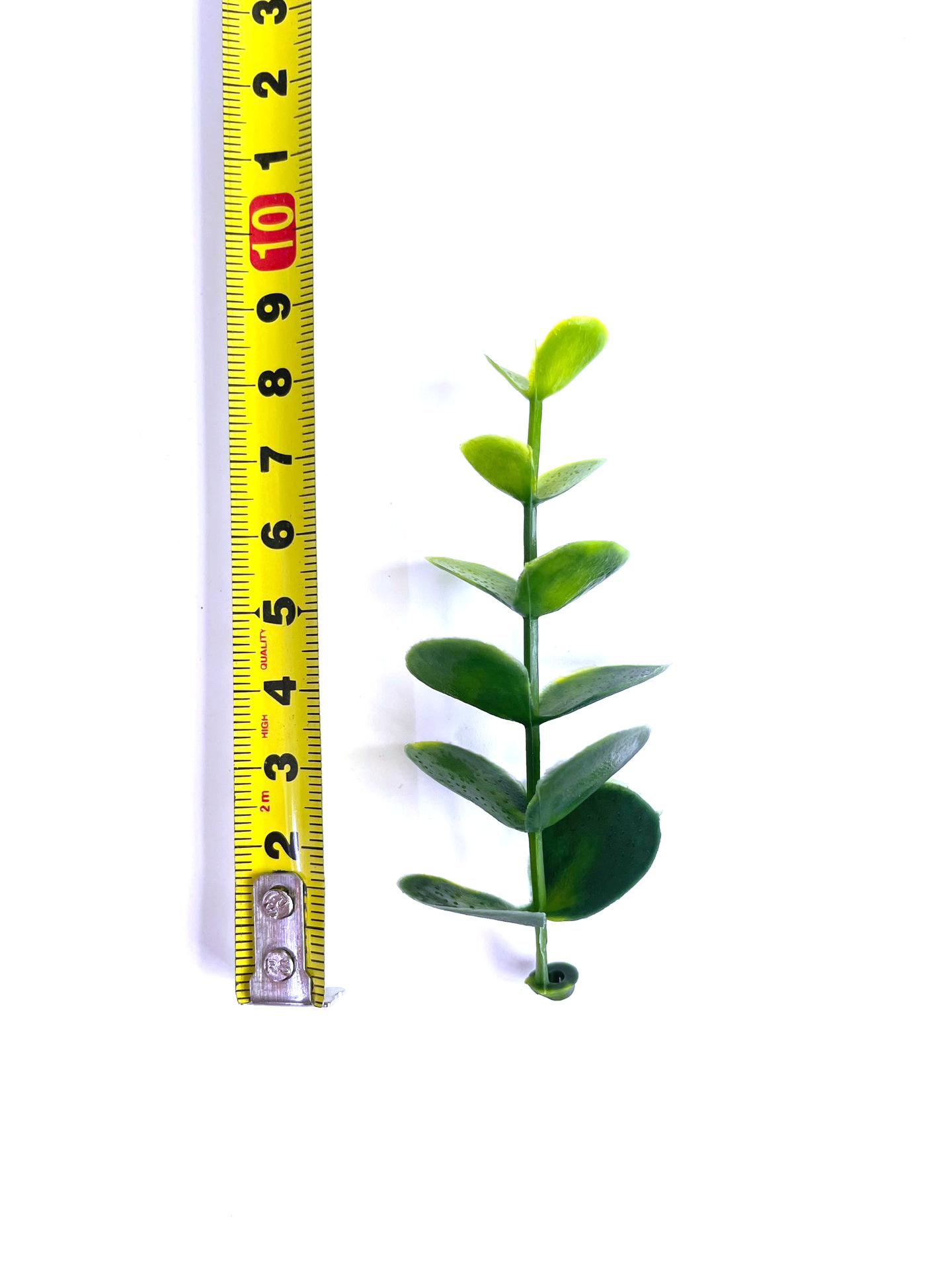 厂家批发仿真尤加利金钱草桉树叶绿植塑料水草假花配件办公园艺装饰详情9