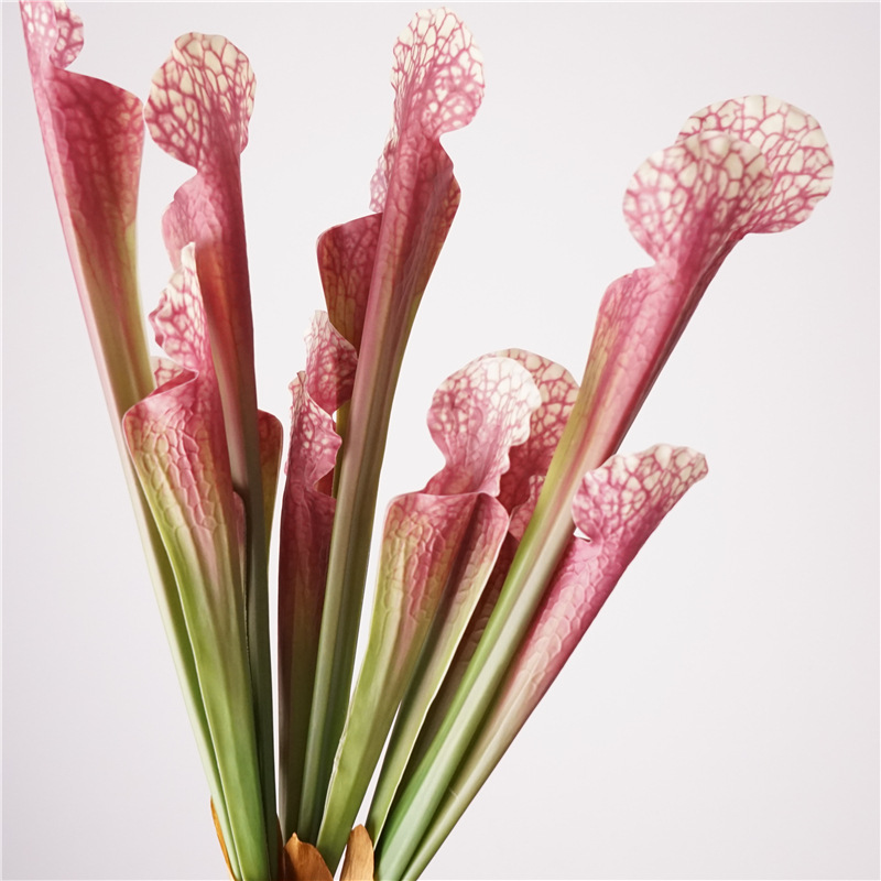 瓶子草高级感is简约风仿真花植物配件婚礼装饰批发花材花艺装饰详情3