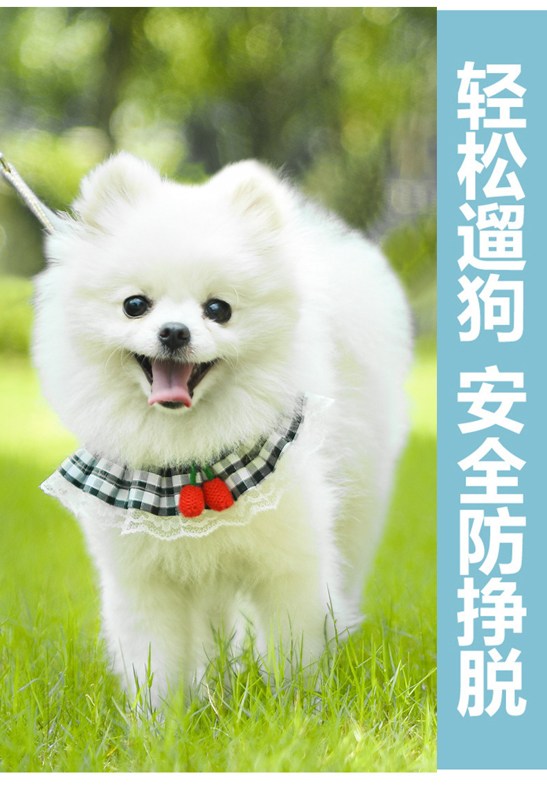 狗狗牵引绳可爱胸背带遛猫咪绳泰迪小型犬狗链宠物用品狗绳子批发详情7