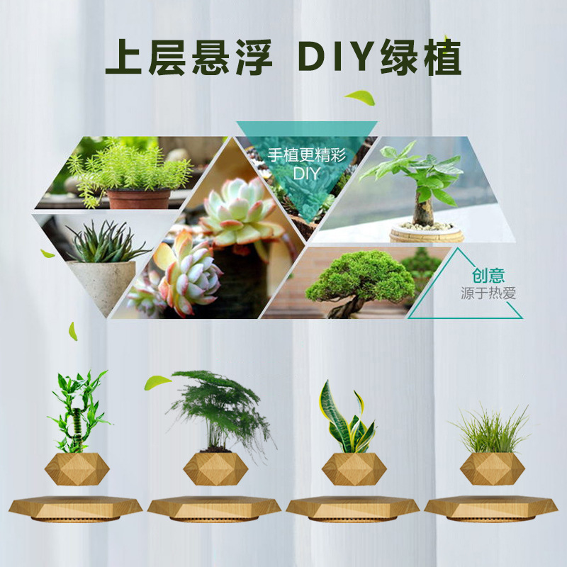 磁悬浮盆栽创意盆景工艺品礼品礼物新奇特家居摆件批发源头工厂详情7