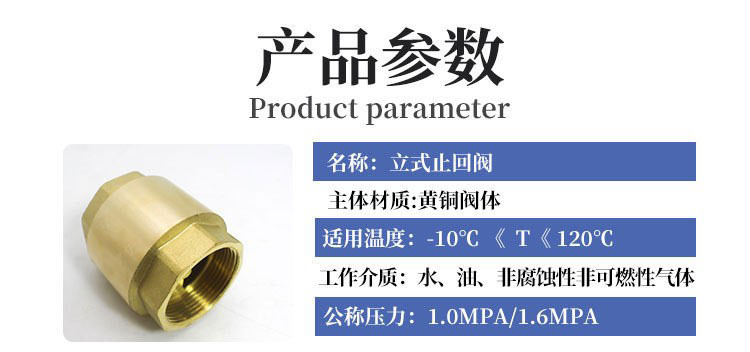 黄铜立式止回阀加厚自来水管道逆止阀单向阀弹簧式阀门4分6分1寸详情3