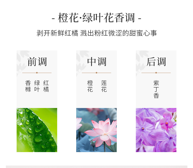 JEAN MISS香水瓶玻璃酒瓶500ml软木塞玻璃详情16