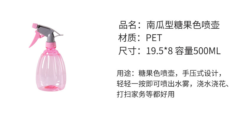 500毫升瓜型家用喷雾器喷雾瓶浇花喷壶手压式多肉植物小喷壶园林详情3