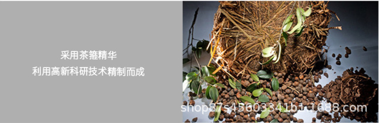 茶籽柔顺洗发露去屑止痒留香清洁头皮日用品家用洗发水代发批发详情12