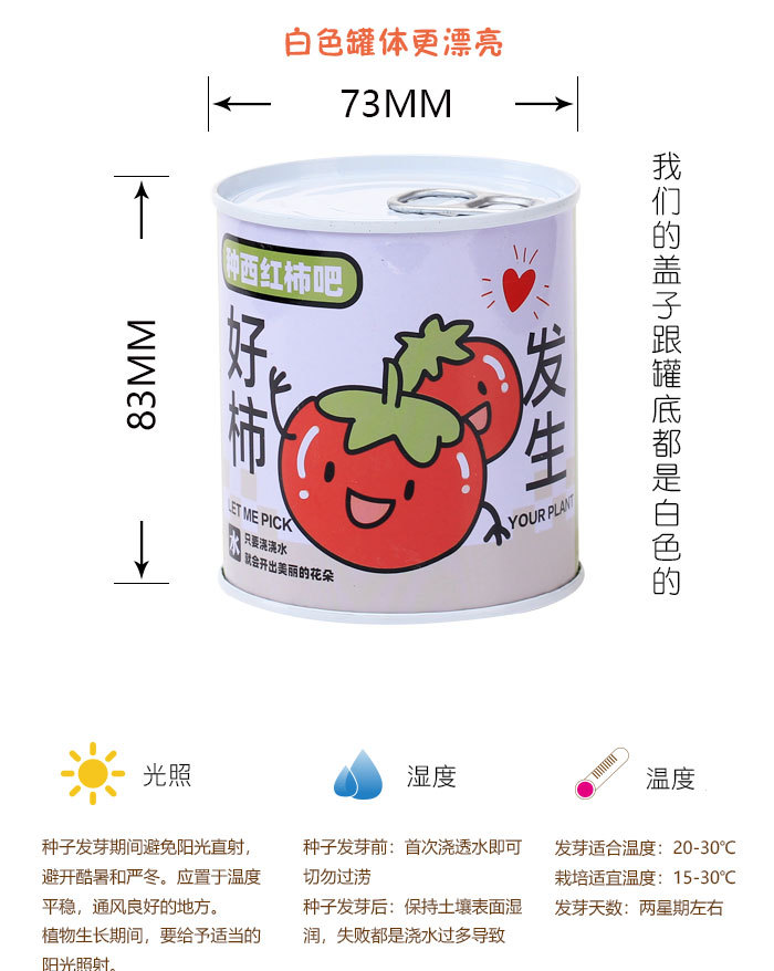 儿童礼物易拉罐植物盲盒桌面小盆栽小学生花卉绿植好养活种子盆栽详情3