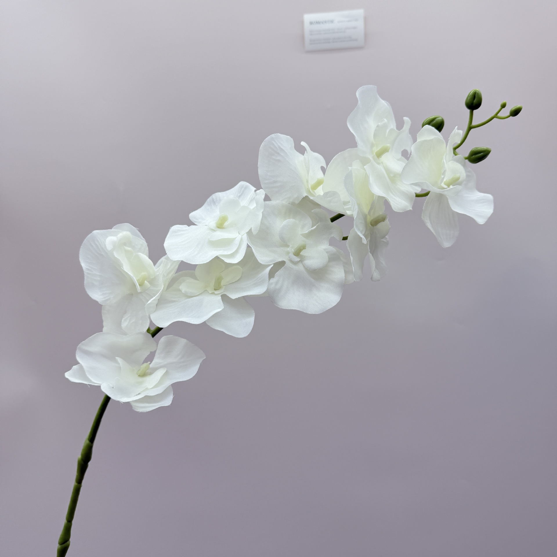 跨境仿真蝴蝶兰9头绢布客厅插花仿真花婚庆路引布景吊顶假花批发详情10