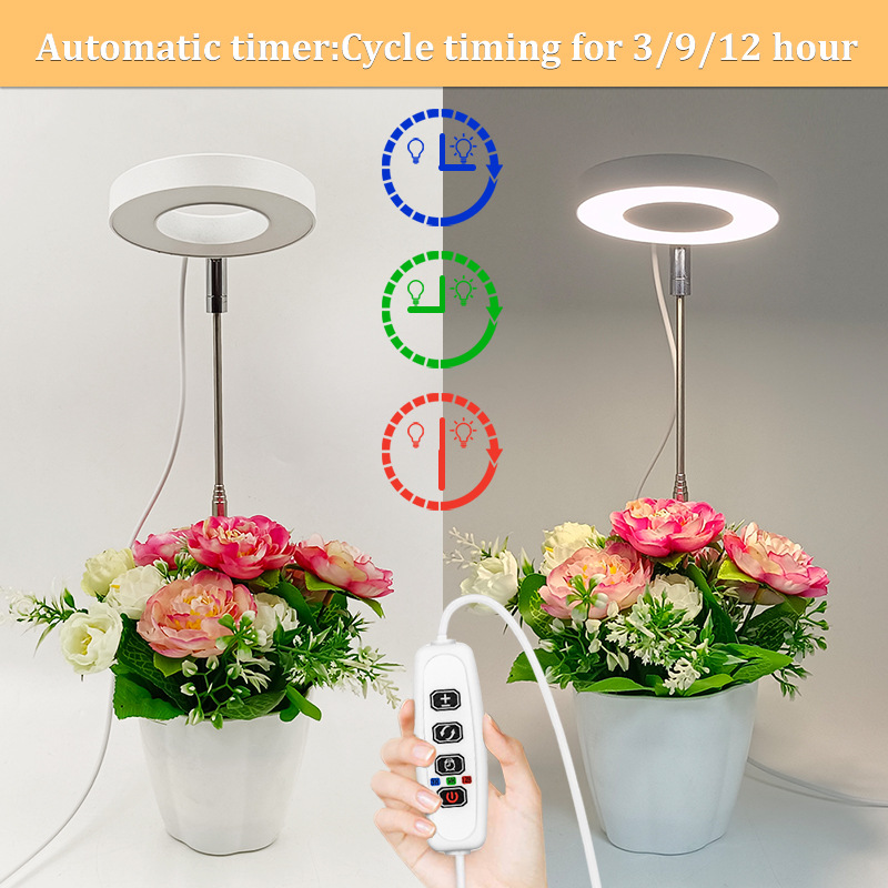 Amazon private model angel ring succulent fill light USB coloring full-spectrum LED flower bonsai plant light growth light pic 9