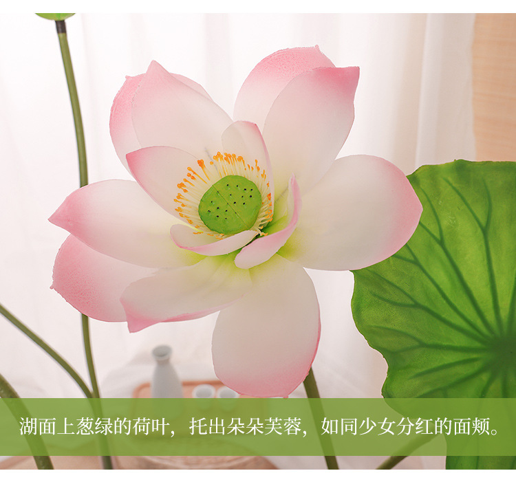 详情页_17.jpg