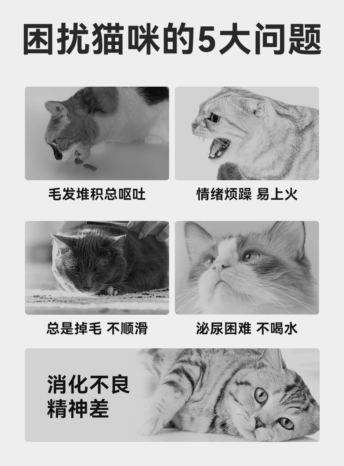 全价主食猫条零食猫条猫咪鸡胸肉湿粮成猫小猫通用猫饭猫条批发详情5