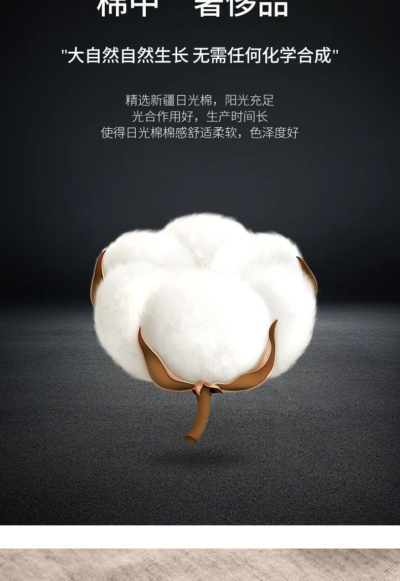 10A抑菌新疆长绒棉女士纯棉内裤大码全棉无痕高腰加长档平角 内裤详情6