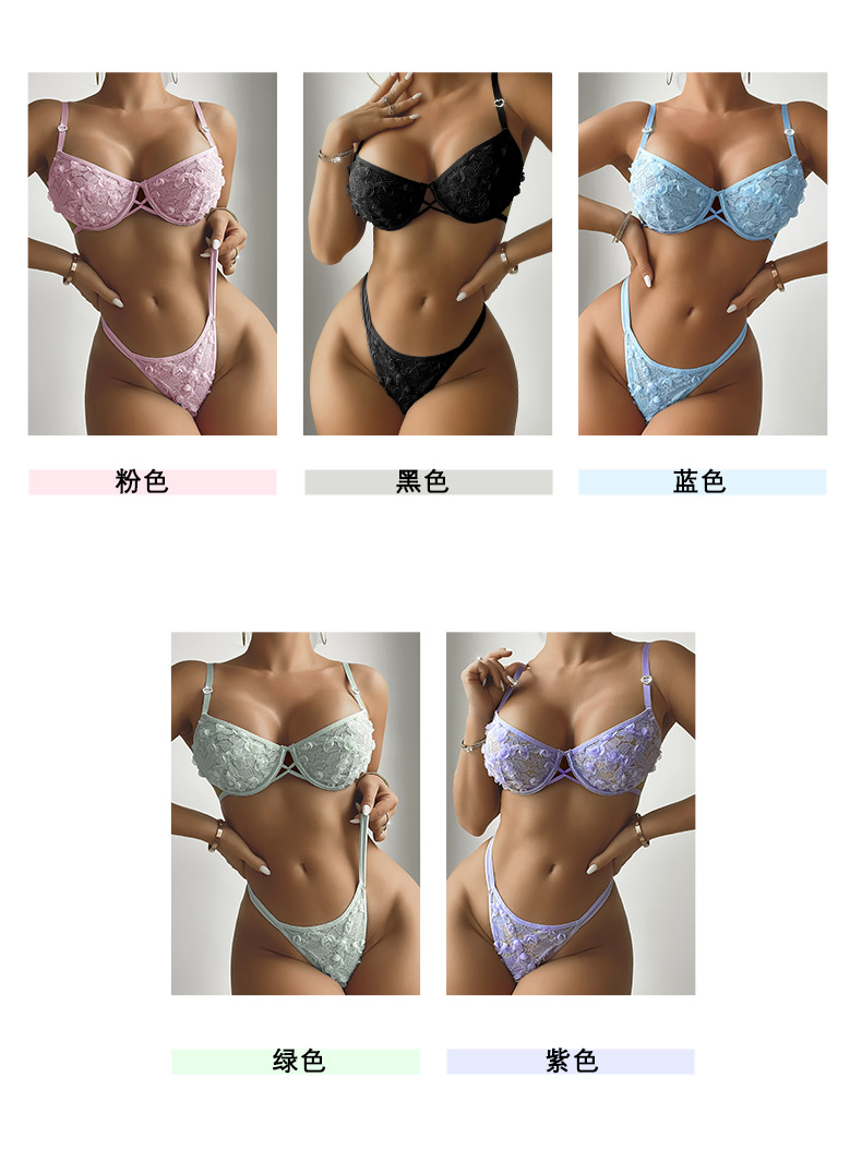 Sexy three-dimensional lace lingerie set for foreign trade, multi-color memory soft steel ring bra and T pants two-piece set JR022 pic 3