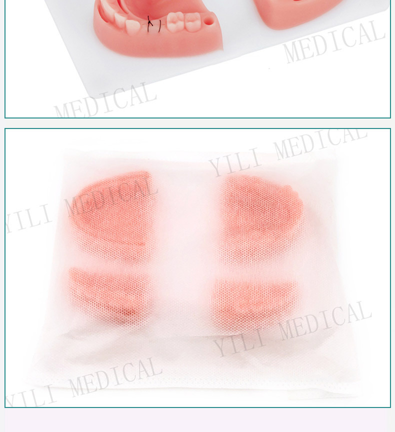 Dental suture set practice model, medical student supplies, suture needles, oral module, surgical training simulation combination set pic 14