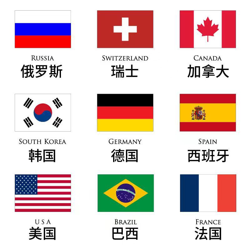 手摇各国国旗世界杯世界各国手摇旗旗帜摇旗详情6