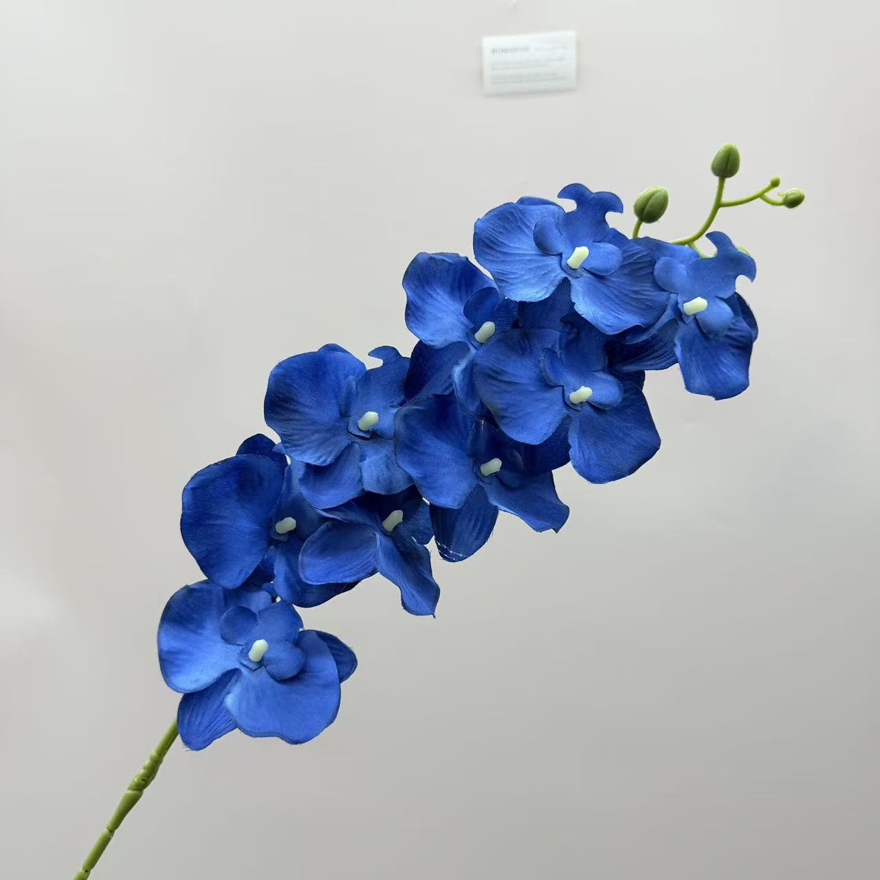 跨境仿真蝴蝶兰9头绢布客厅插花仿真花婚庆路引布景吊顶假花批发详情14