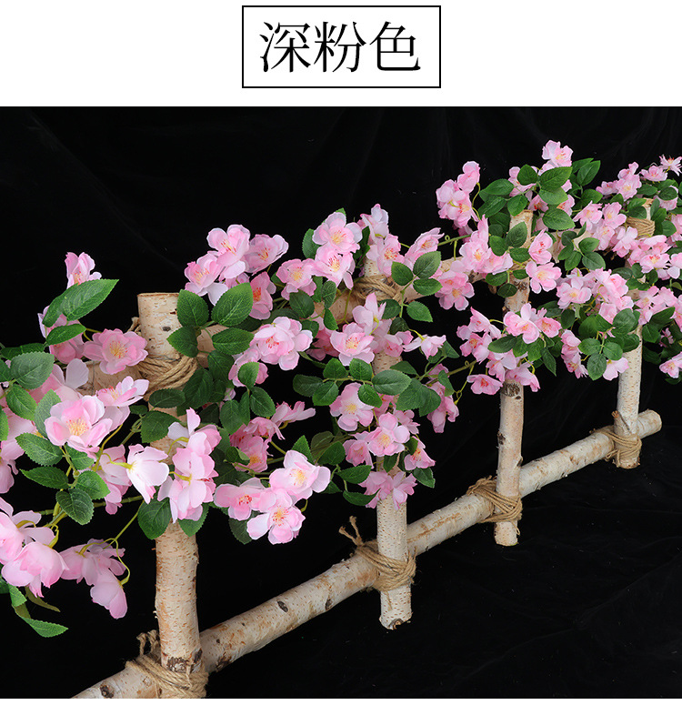 樱花_16.jpg