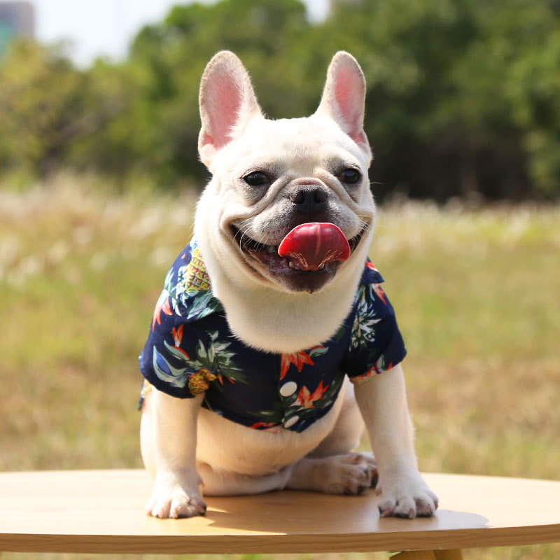 Pequeño y mediano perro playa piña camisa hawaii mascota perro gato golden hair primavera verano fino ropa artículos pic 20