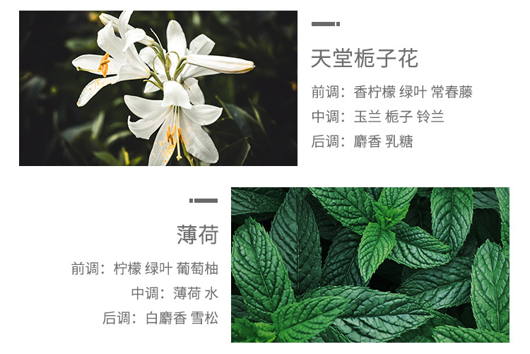 浪漫时光衣柜香薰蜡片衣橱卧室家居除味清香薰香香片装饰摆件批发详情27