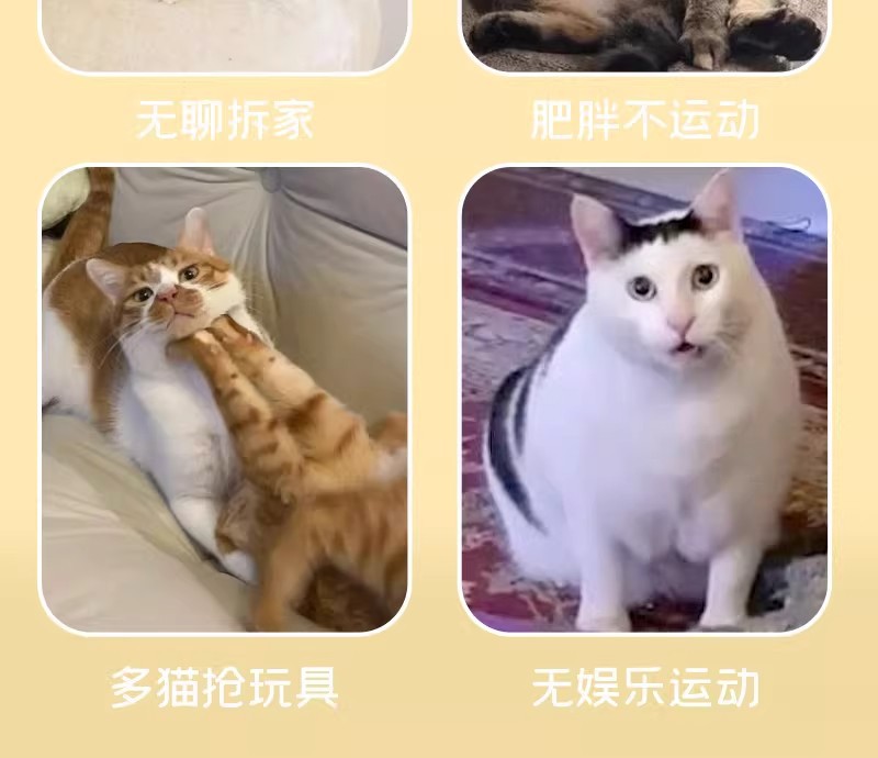 Кошачьи игрушки для самоуспокоения, мячи для щекотки кошачьих палочек, перышки для кошачьих перьев, домашние головоломки для кошек pic 4