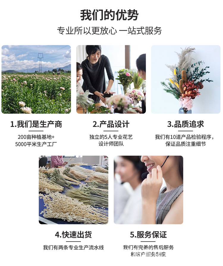 新品【挥发棒专用柳树枝系列】香薰藤条自然干花扩香树枝详情2