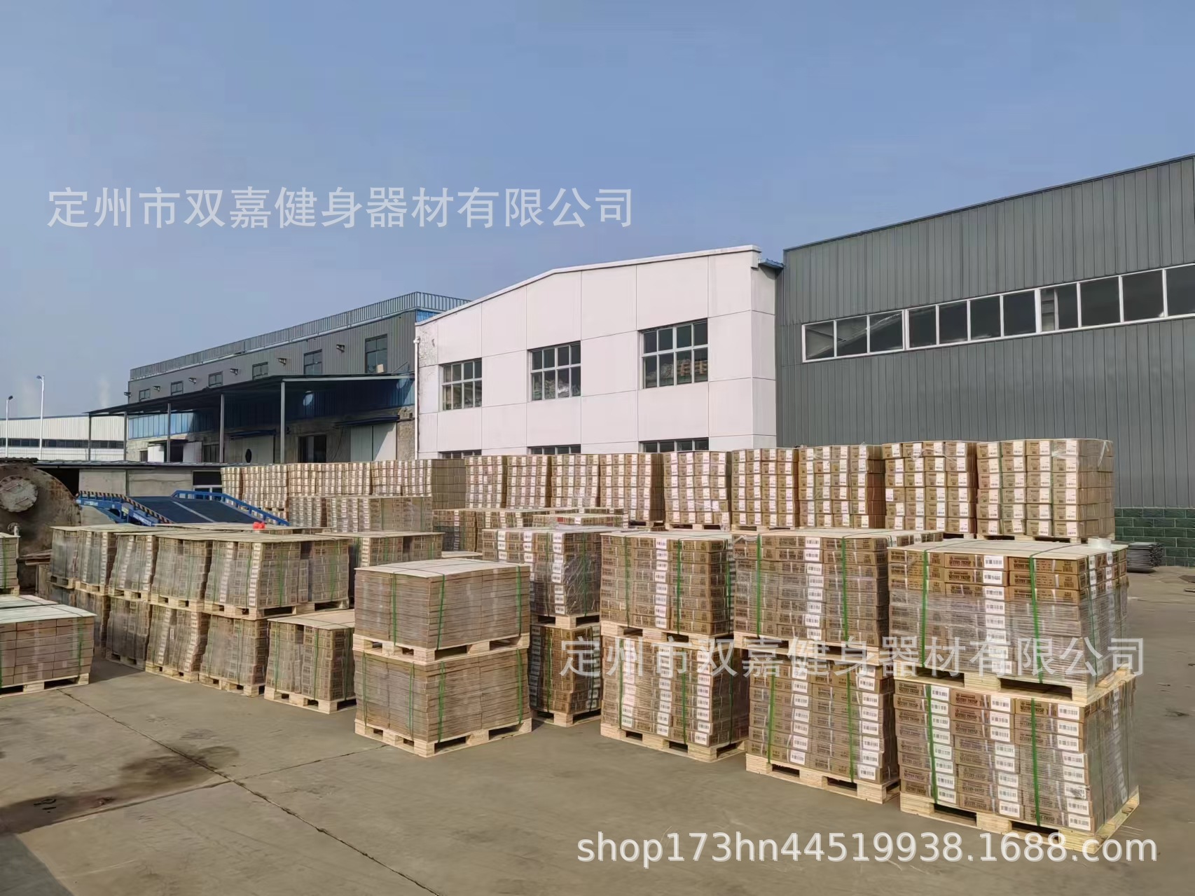 哑铃女士健身家用器材实心铁浸塑小哑铃六角儿童学生瑜伽负重哑铃详情2