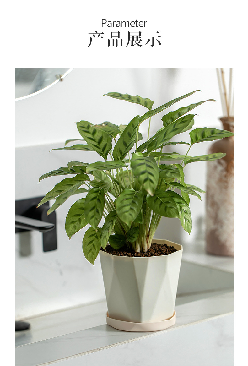 木里盆网红创意树脂绿植多肉塑料花盆加厚北欧简约大口径大号外贸详情14