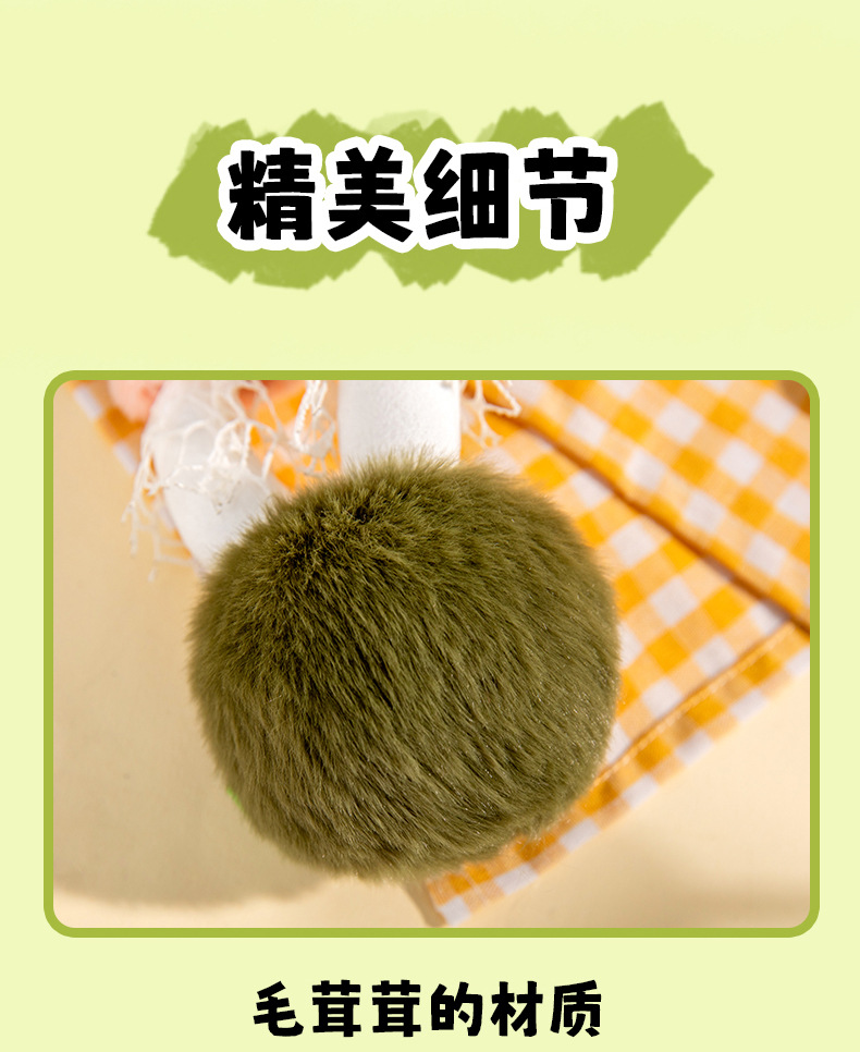 Enoki mushrooms, bamboo fungus, plush toys, wedding scattering dolls, office ornaments, plush toys, wholesale of trendy toys pic 20