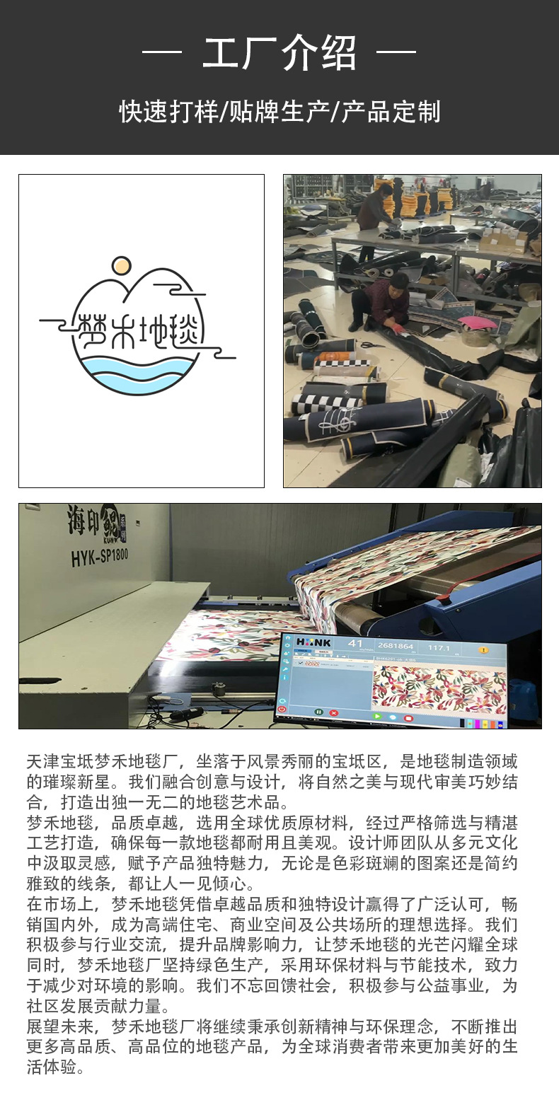 跨境新款宠物卡通进门垫家用厨房防滑卧室客厅地毯地垫一件代发详情2