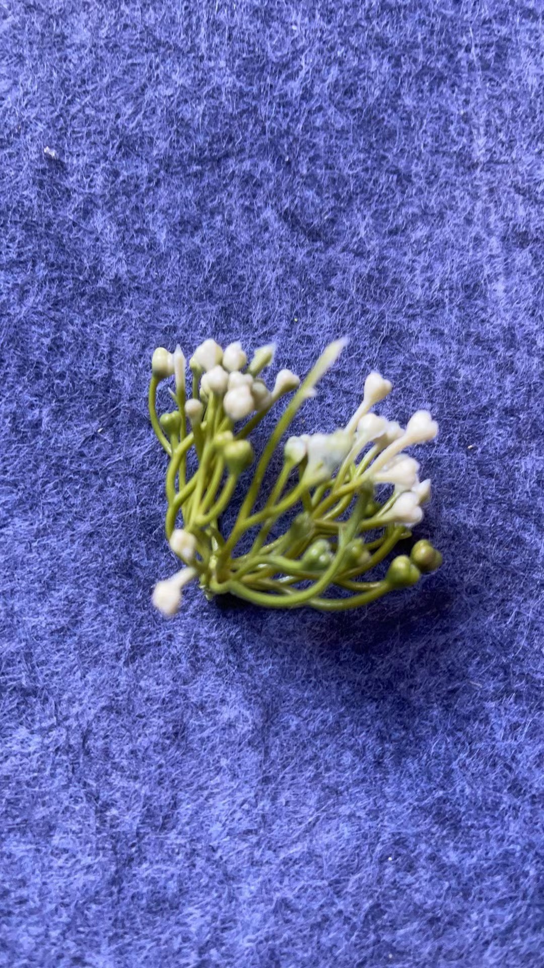 仿真花水草配件新款塑料盆栽家居摆件办公文化仿真园艺装饰植物详情10