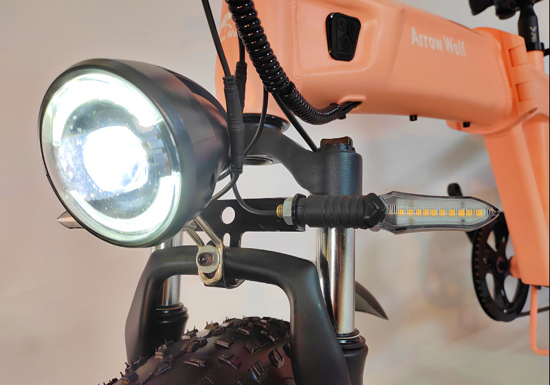 双电机雪地电动助力车双电池双电机电动自行车折叠双电机电动车详情18