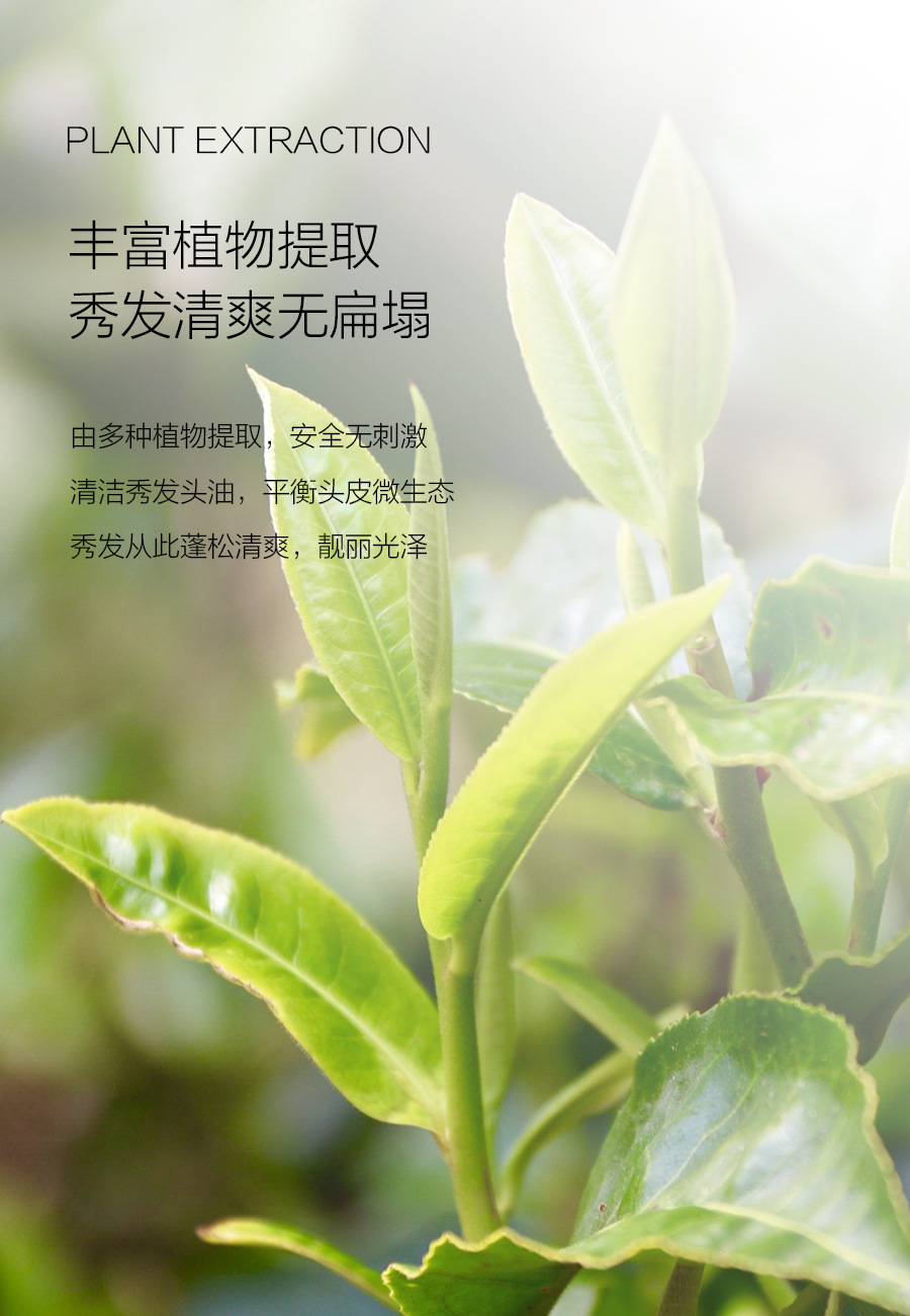 博睿雅致臻保湿护发去屑控油洗发水护发素清洁头皮持久留香洗发水详情6