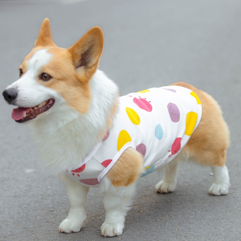 狗狗背心四季款宠物T恤可爱卡通狗狗服装印花中型犬幼犬现货批发详情10