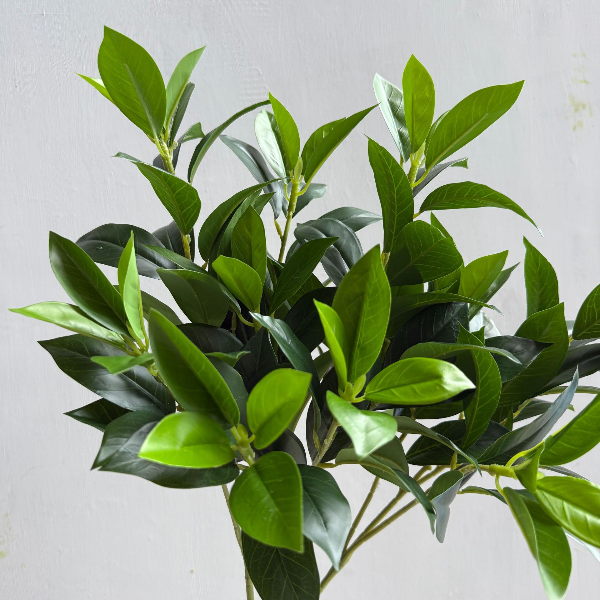 仿真柠檬叶 桔叶 桂花月桂叶 茶树叶 手感叶子植物造景树装饰家居详情10