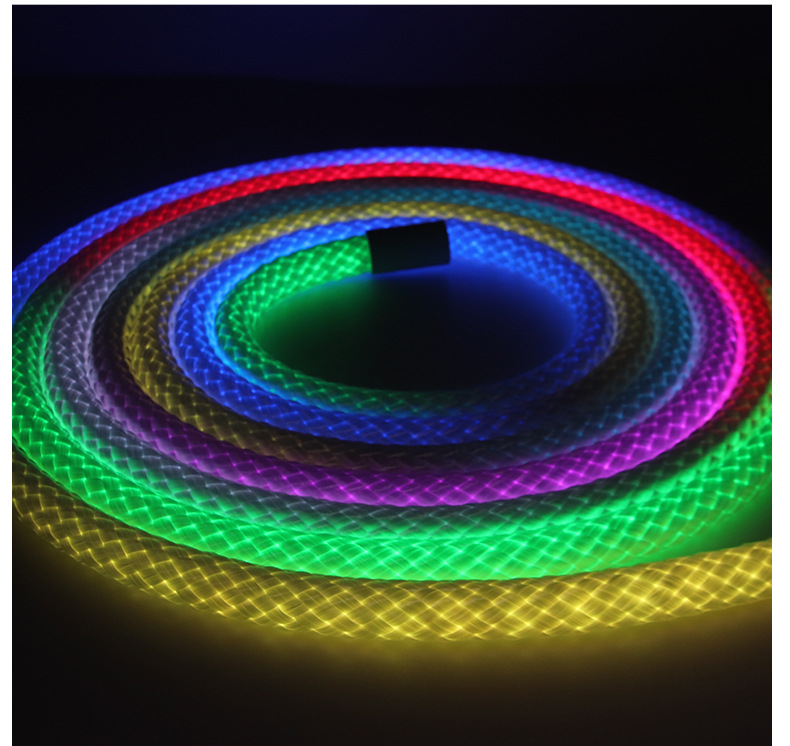 跨境专供龙纹编织幻彩灯带LED霓虹灯10mm防水Led柔性霓虹灯条形灯详情9
