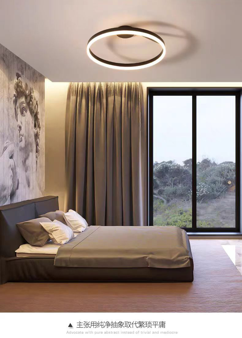 Ceiling light, circular bedroom light, minimalist ins cross-border study, modern and simple LED, master bedroom, dining room, balcony ceiling light pic 14