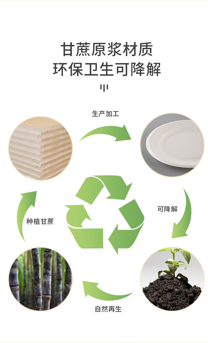 蔗纸浆餐具一二三四五格打包饭盒多格纸浆快餐便当盒水果沙拉外卖详情3