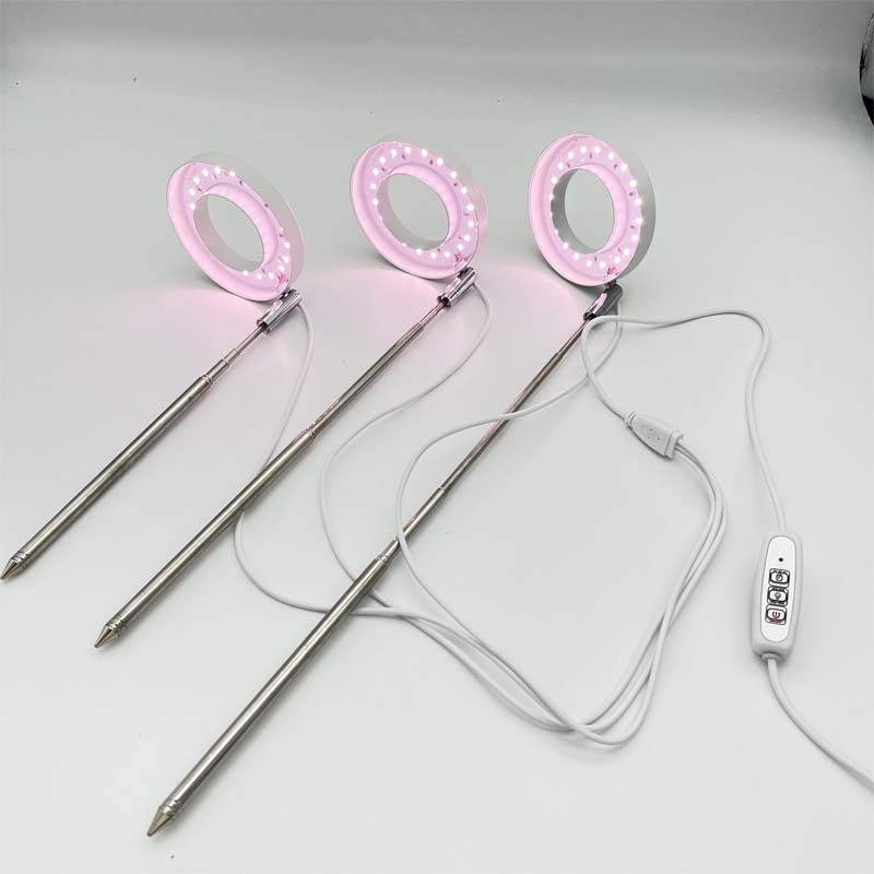 LED angel ring plant growth lamp, sunlight-like plant supplementary light, indoor succulent bonsai plant lamp manufacturer pic 5