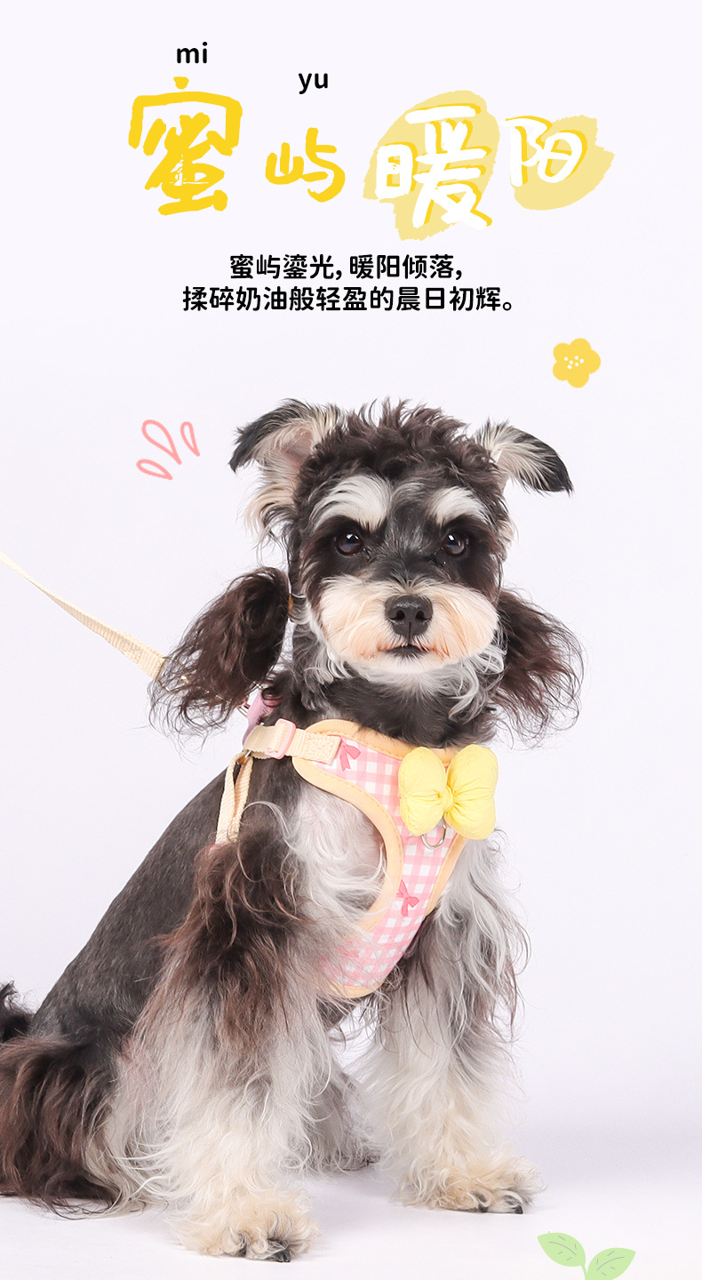 New dog leash, pet puppy chest strap, Bichon Shiba Inu, Schnauzer breathable outdoor dog leash pic 8