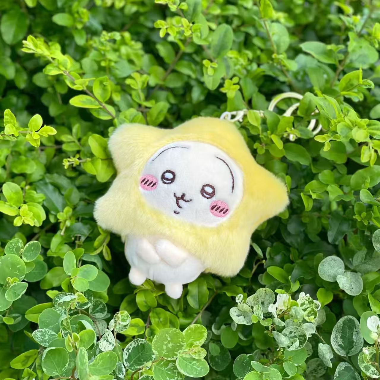 可爱星星自嘲熊毛绒挂件创意小八钥匙扣公仔玩偶饰品批发玩具娃娃布艺公仔详情6