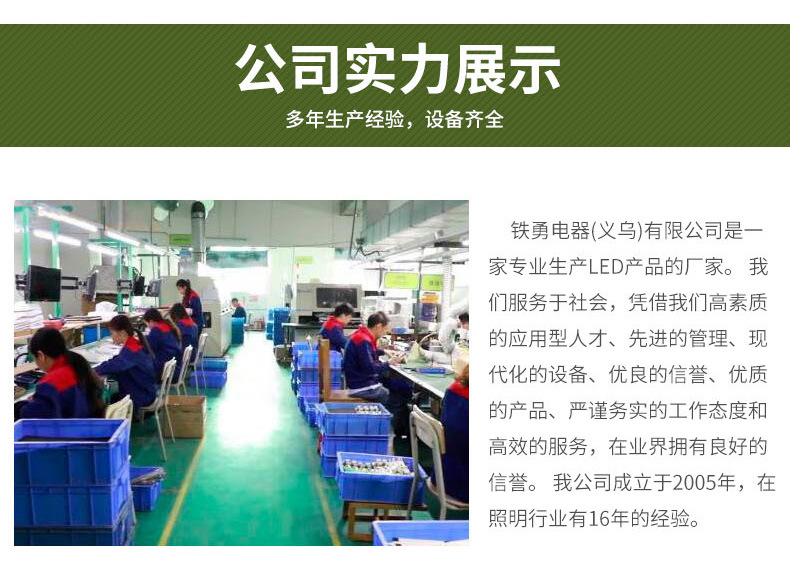 TY-X5塑料小手提灯家用户外野营应急照明灯厂家现货直供跨境热卖详情12