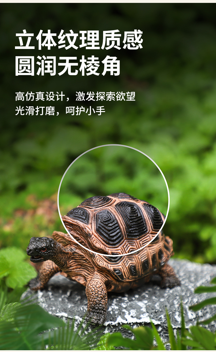 纽奇儿童动物模型仿真恐龙玩具蛇鲨鱼昆虫霸王龙仿真鱼小猫咪奶牛详情13