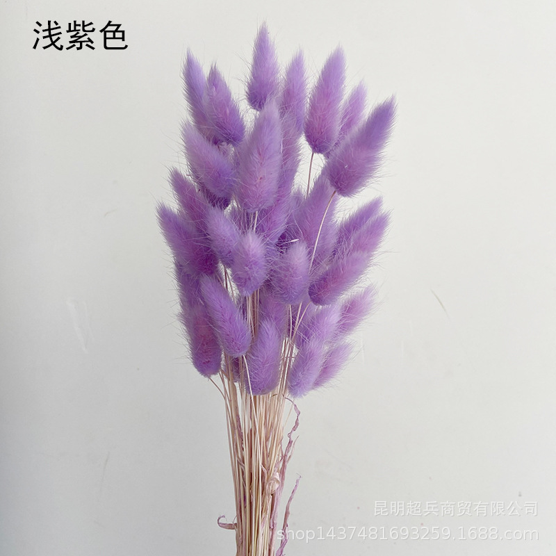 QQ图片20211210155634.jpg