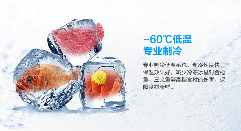 Ultra-low temperature -60 degrees Celsius copper tube refrigeration commercial large-capacity, suitable for household freezing and preservation refrigerator pic 14
