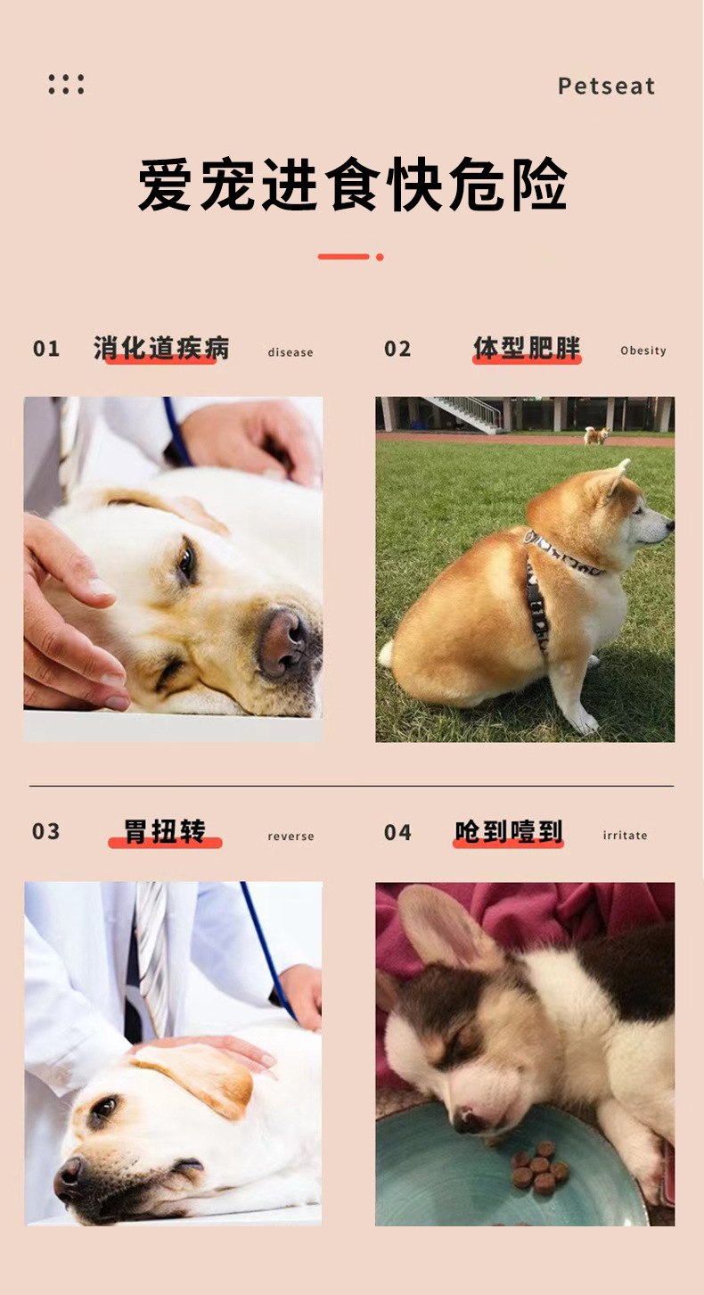 Rongka Pet Cross-border Pet Cat and Dog anti-choking and anti-vomiting slow Food Bowl, multi-color small and medium-sized dog feeder, Diamond bowl pic 3