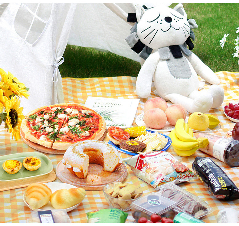 格子无纺布野餐垫康乐屋加厚防水垫地垫牛津布野餐布可折叠可收纳详情14