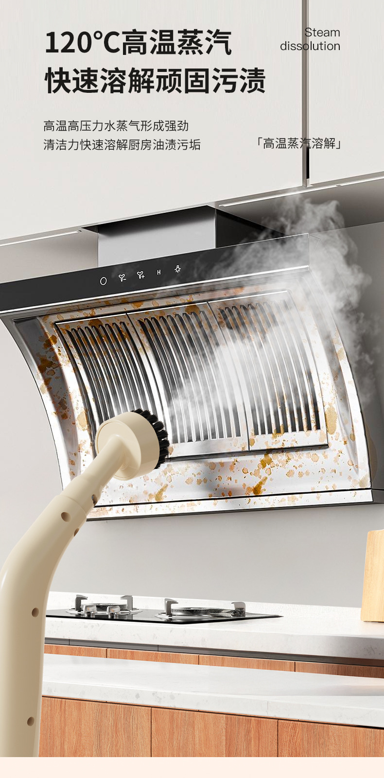 新款高温高压蒸汽清洁机家用小型厨房空调家电油烟机清洗机清洁器详情6