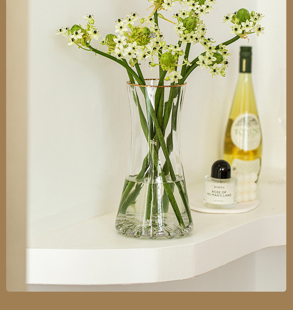 简约轻奢加厚ins风透明玻璃花瓶水养富贵竹鲜花插花客厅摆件批发详情23