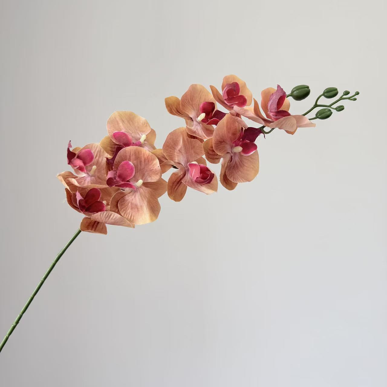 9头蝴蝶兰仿真花手感高级感逼真假花兰花艺场景布置酒店婚庆用花详情15